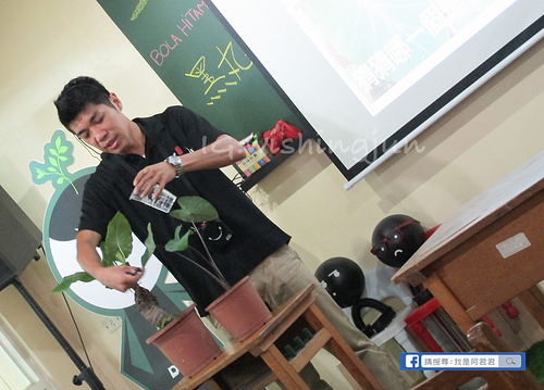 黑丸嫩仙草_阿君君-3825