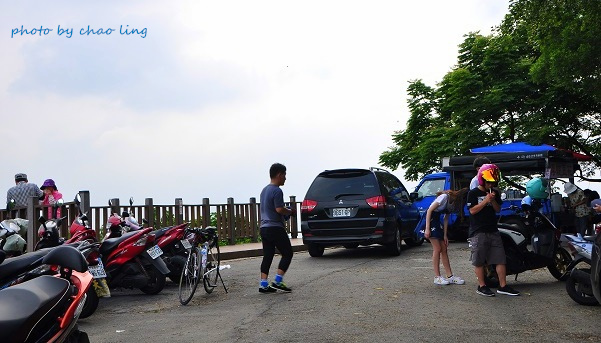 樹林.三峽尋桐-29.JPG - 2016夏之豔陽