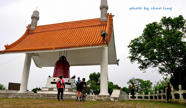 樹林.三峽尋桐-3.JPG - 2016夏之豔陽