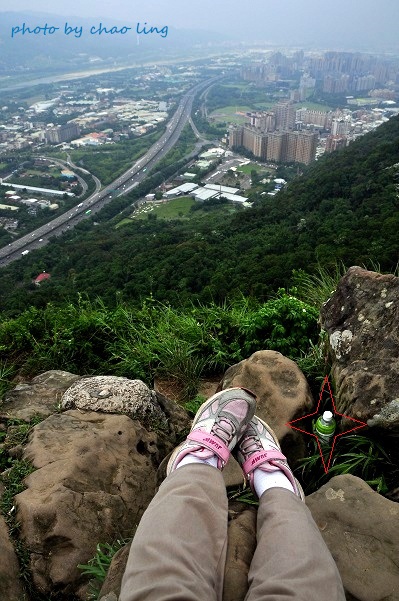 樹林.三峽尋桐-15.JPG - 2016夏之豔陽