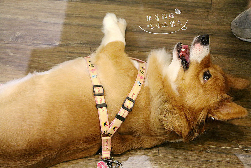 烤食煮盒-烤的料理便當152