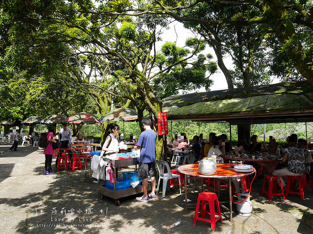 陽明山竹子湖餐廳美食杉木林 (11)