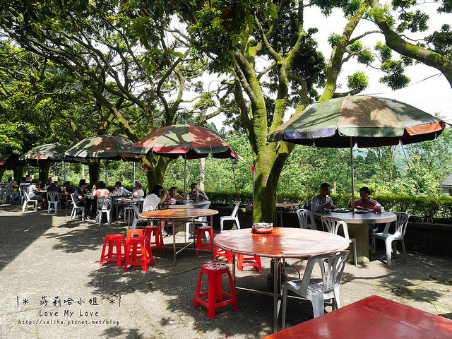 陽明山竹子湖餐廳美食杉木林 (2)