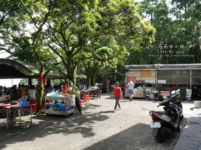 陽明山竹子湖餐廳美食杉木林 (13)