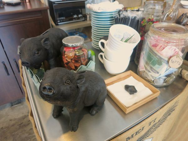 Photo 5-19-16, 4 18 49 PM