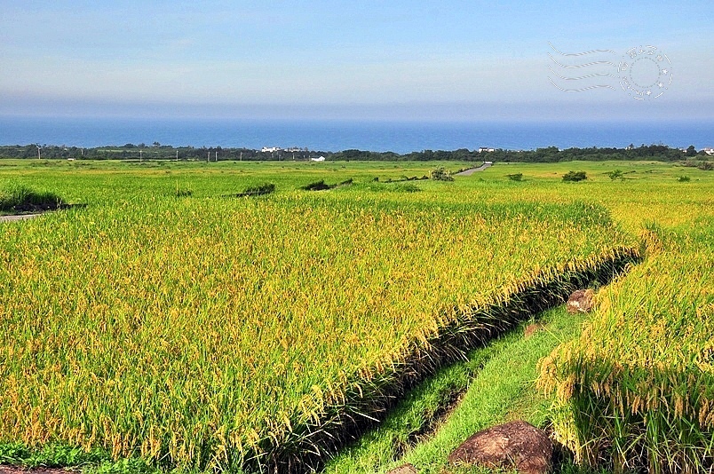 台東長濱金剛大道