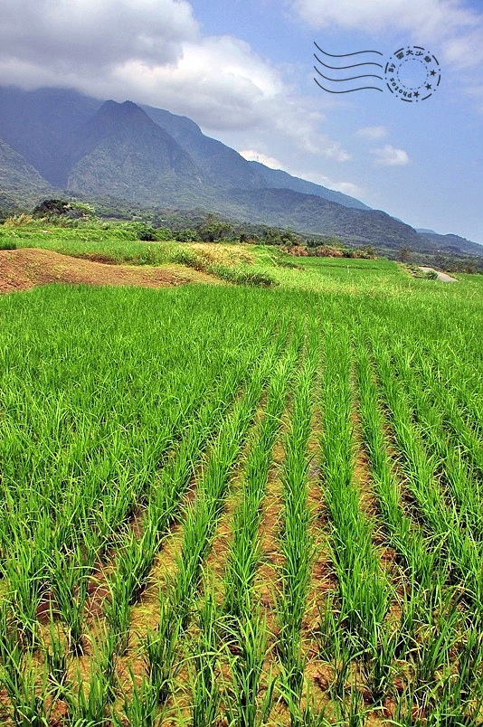 台東長濱金剛大道