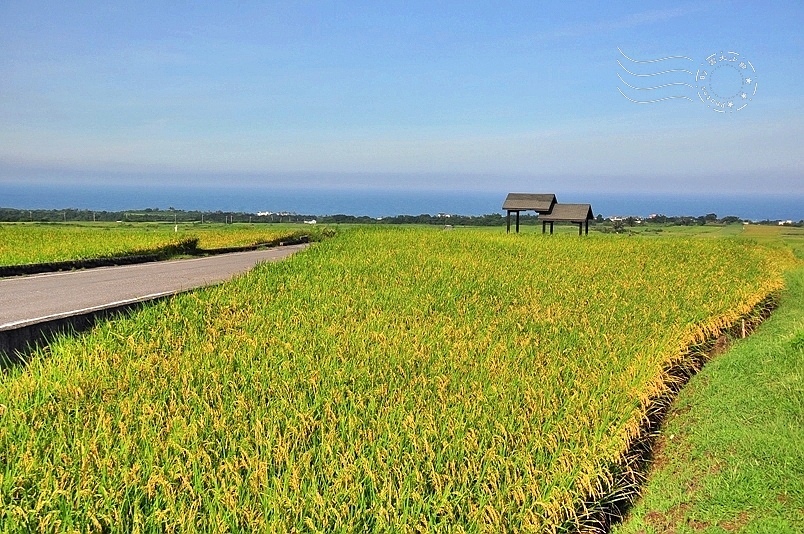 台東長濱金剛大道