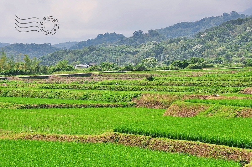 長光梯田