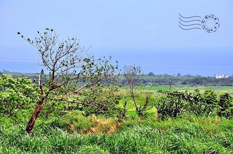 台東長濱金剛大道