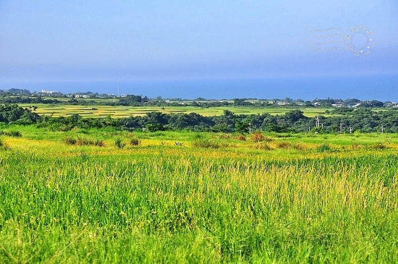台東長濱金剛大道