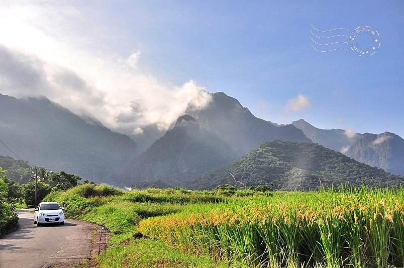 台東長濱金剛山稻田