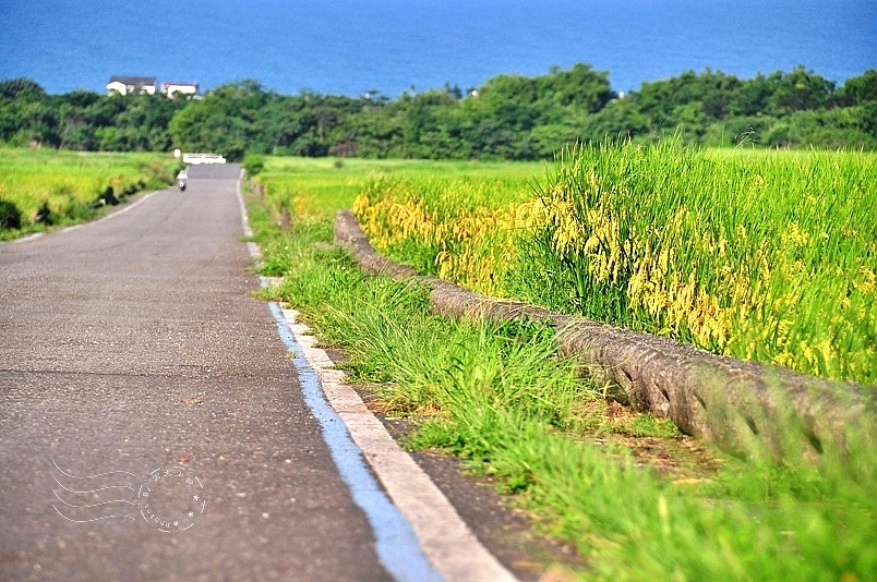 台東長濱金剛大道