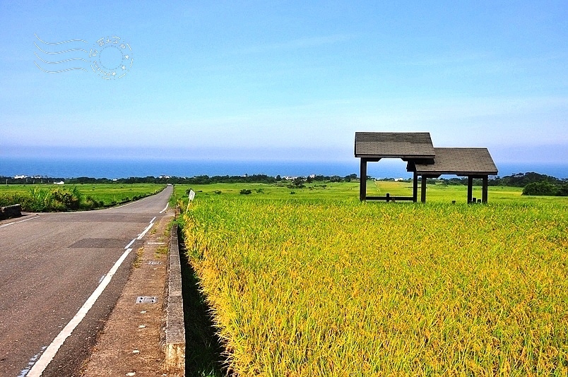 台東長濱金剛大道