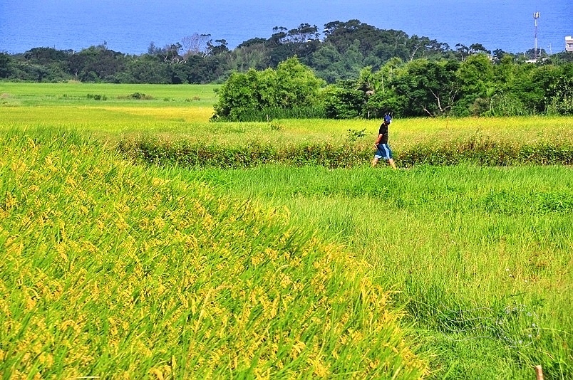 台東長濱金剛大道
