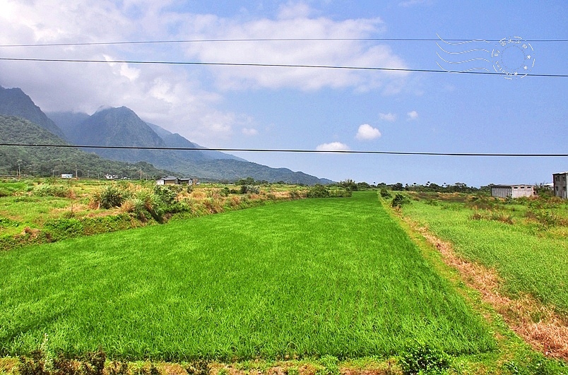台東長濱忠勇社區