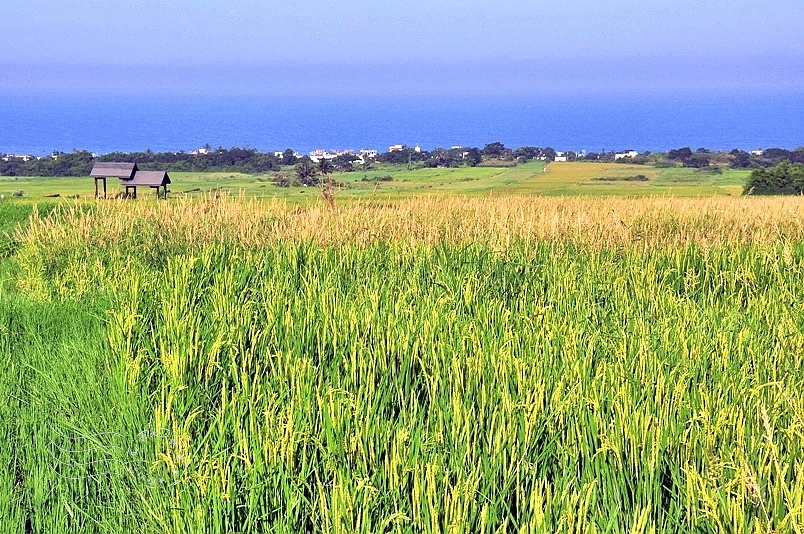 台東長濱金剛大道