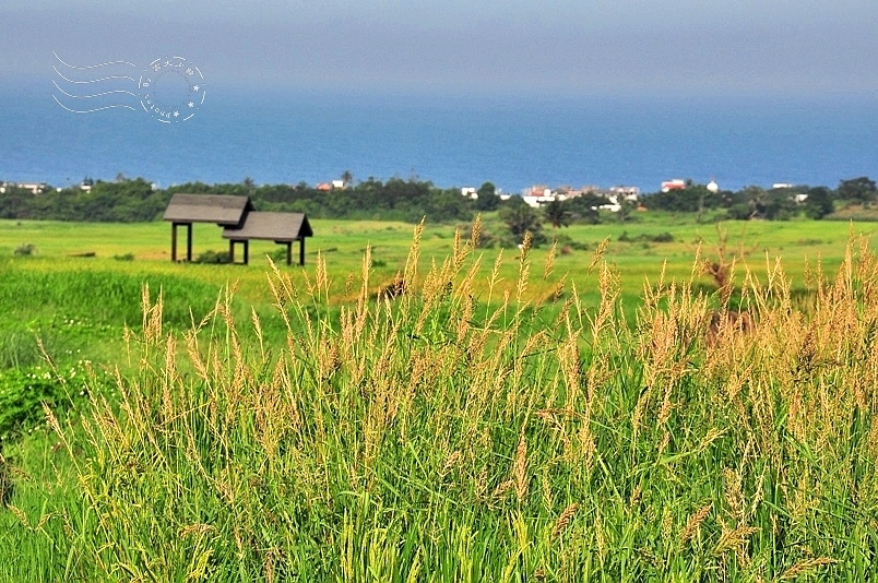 台東長濱金剛大道