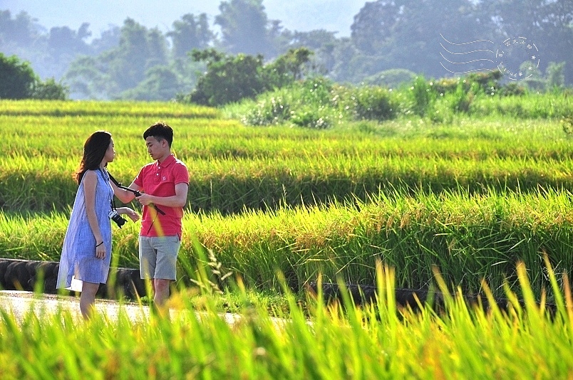 台東長濱金剛大道