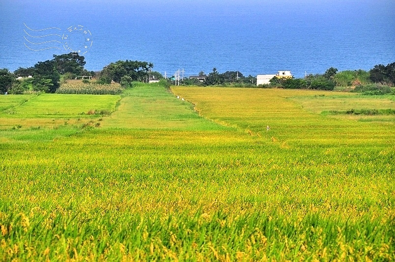 台東長濱金剛大道