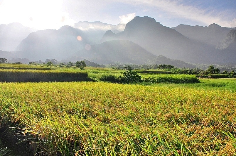 台東長濱金剛大道