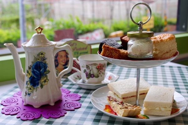 Daisy's Tearoom：[台南]正統英式下午茶 超厲害的司康與布朗尼  Daisy's Tearoom