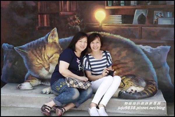 虎尾貓學堂12.JPG