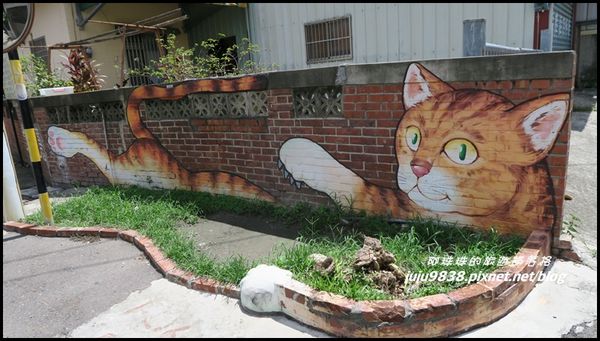 虎尾貓學堂26.JPG
