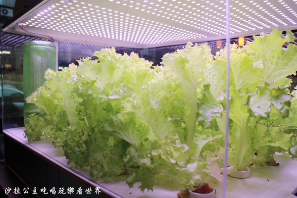 韓老大 韓式烤肉 海鮮九層塔 한으뜸：東區韓式料理『韓老大 韓式烤肉 海鮮九層塔 한으뜸』捷運忠孝復興站