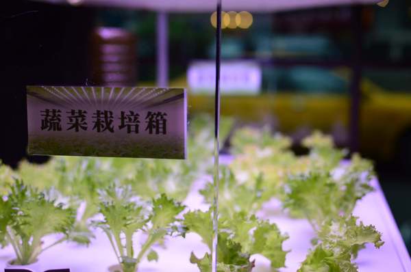 韓老大 韓式燒肉 한으뜸:▌台北 • 韓老大 ▌薇拉小公主追試營運店• 不飛韓國也能吃到首爾奉天海鮮九層塔的台灣版 + 澳洲M9壺漬牛肋肉 +燈泡咕嚕咕嚕飲料