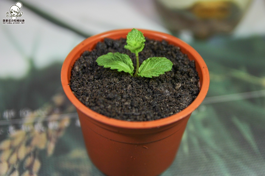 福德咖啡Food Cafe (40 - 47).jpg