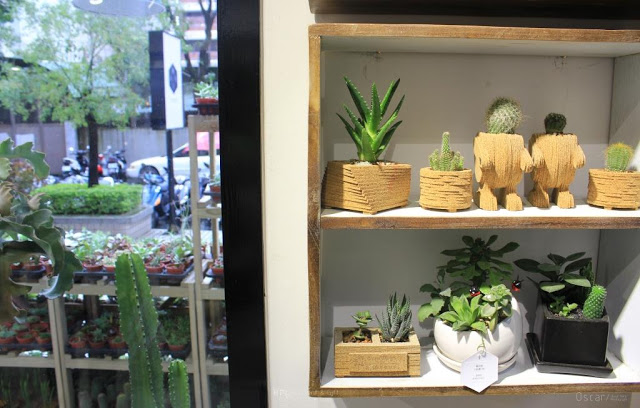 有肉 Succulent & Gift-20