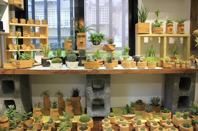 有肉 Succulent & Gift-13