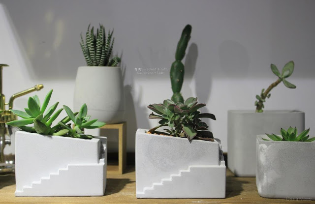 有肉 Succulent & Gift-7