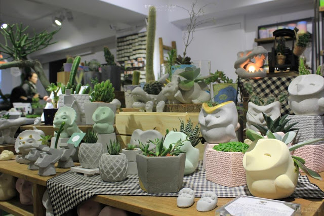 有肉 Succulent & Gift-10