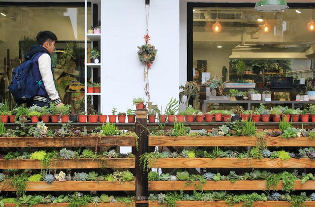 有肉 Succulent & Gift-18