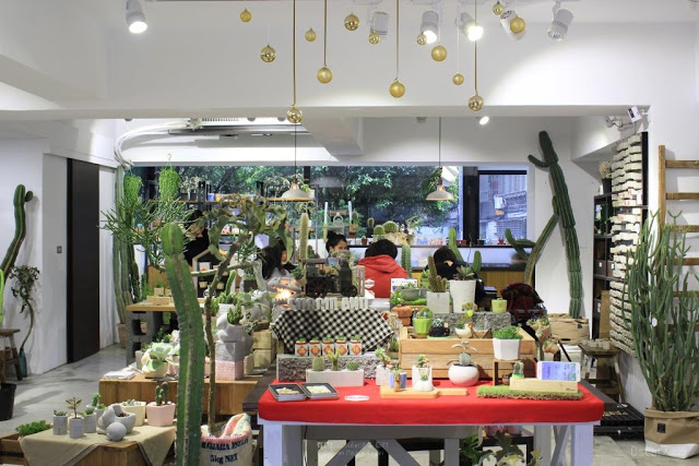 有肉 Succulent & Gift-3