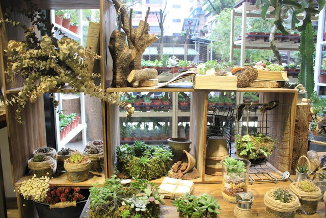 有肉 Succulent & Gift-14