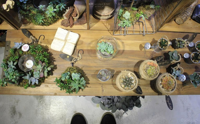 有肉 Succulent & Gift-12