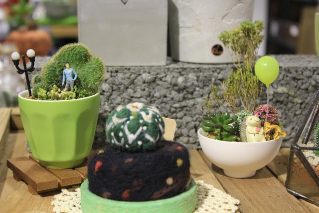 有肉 Succulent & Gift-23