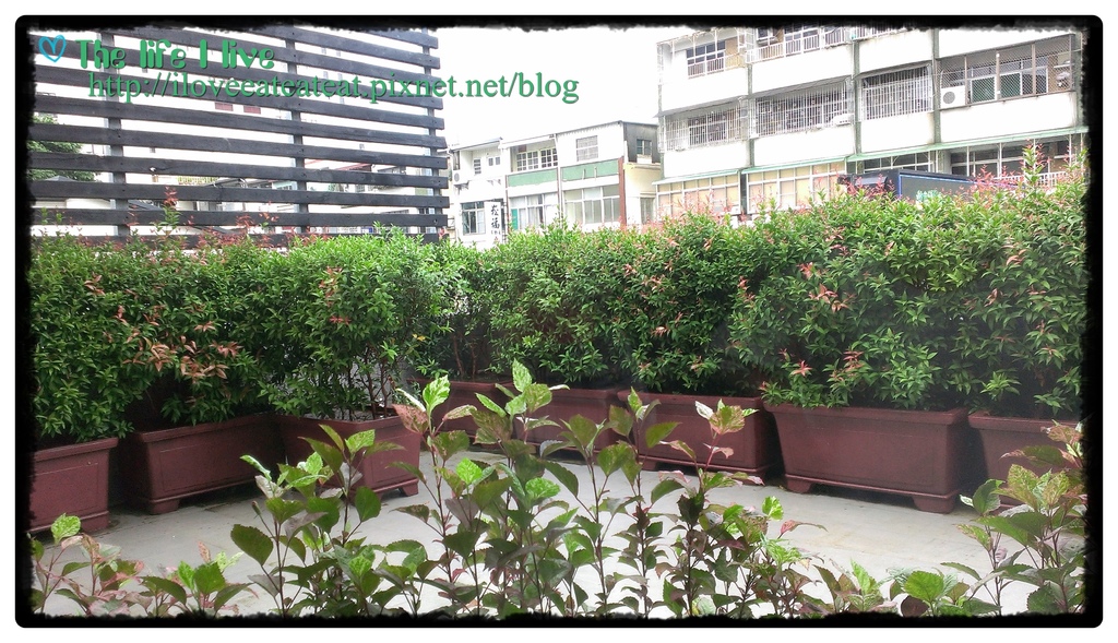 覓奇頂級料理Michelin House18.jpg