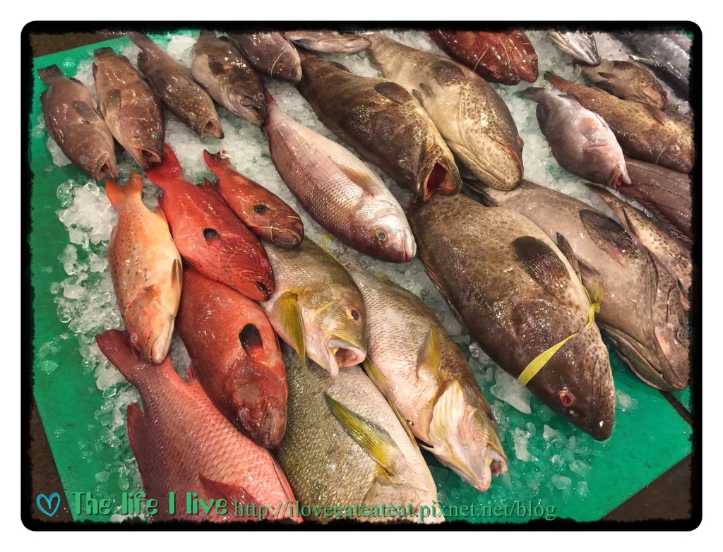 覓奇頂級料理Michelin House2105.jpg