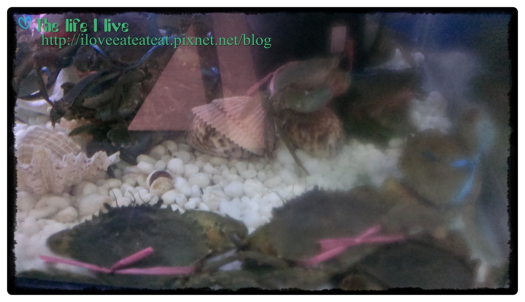 覓奇頂級料理Michelin House92.jpg