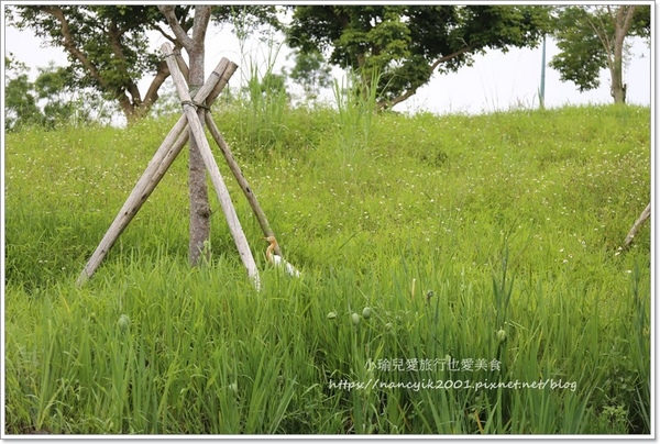 冬山河生態綠舟:【宜蘭】冬山河生態綠舟 宜蘭旅遊新景點 一片綠意水漾美不勝收 年底前不收門票