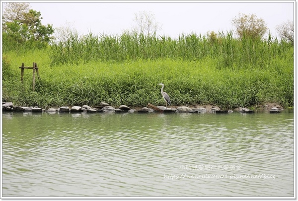 冬山河生態綠舟:【宜蘭】冬山河生態綠舟 宜蘭旅遊新景點 一片綠意水漾美不勝收 年底前不收門票