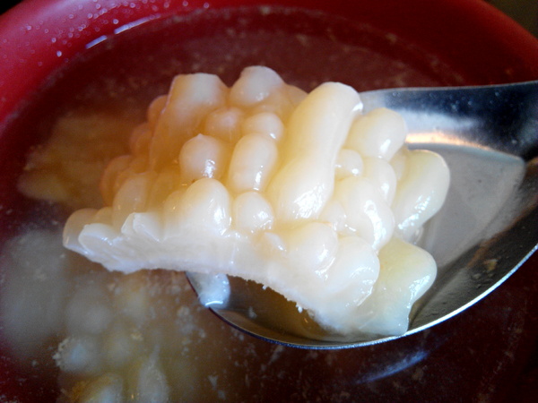 台南蔡家古早味肉粽：【臺南Ω永康區】台南蔡家古早味肉粽。來自廟口文化，代代相承的古早味