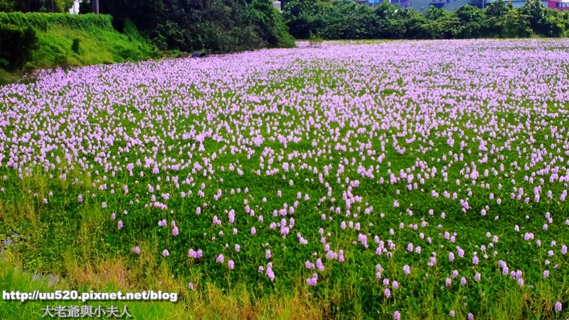 湖邊10新模式-010