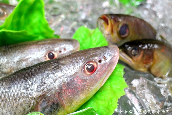 鱻海鮮燒物：蘆洲『鱻海鮮燒物』像戰斧豬排一樣大的魚下巴/燒烤/消夜/捷運徐匯中學站