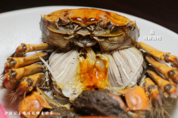 鱻海鮮燒物:蘆洲燒烤『鱻海鮮燒物』鮟鱇魚海鮮火鍋/流膏的大閘蟹非吃不可/捷運徐匯中學站