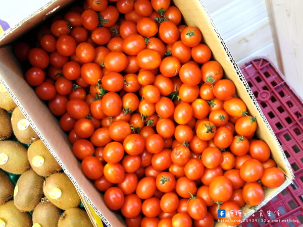 麻古茶坊(台中河南店):〖台中│美食〗麻古茶坊(台中河南店) ❤ 來自高雄的人氣手搖飲料!!使用新鮮水果入料,茶香甘甜,波霸Q彈帶勁!!